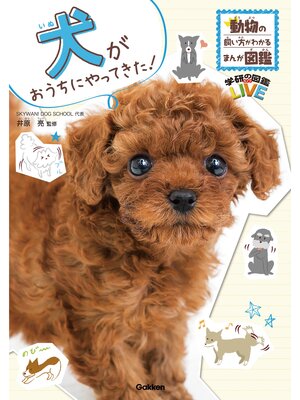 犬がおうちにやってきた! - ebook
